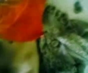 সুন্দরী বালিকা বাসর রাতের সেক্সি ভিডিও